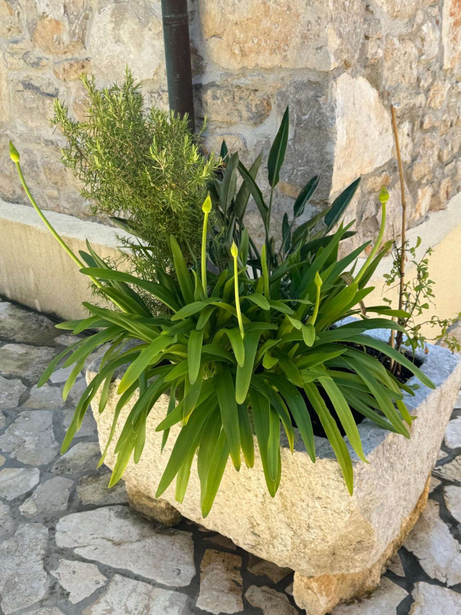 Mediterranes Ferienhaus M. Terrasse Veli Losinj Ngoại thất bức ảnh