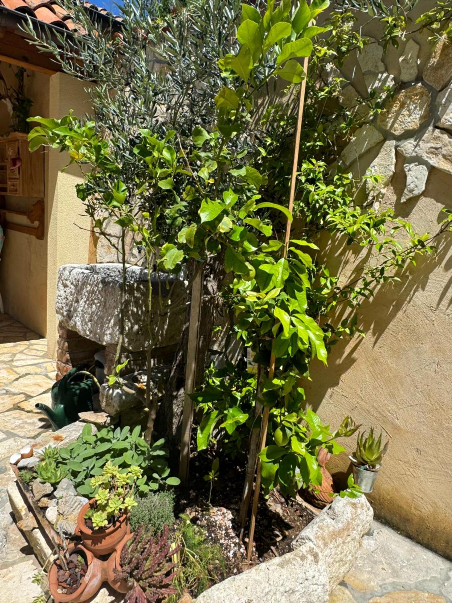 Mediterranes Ferienhaus M. Terrasse Veli Losinj Ngoại thất bức ảnh